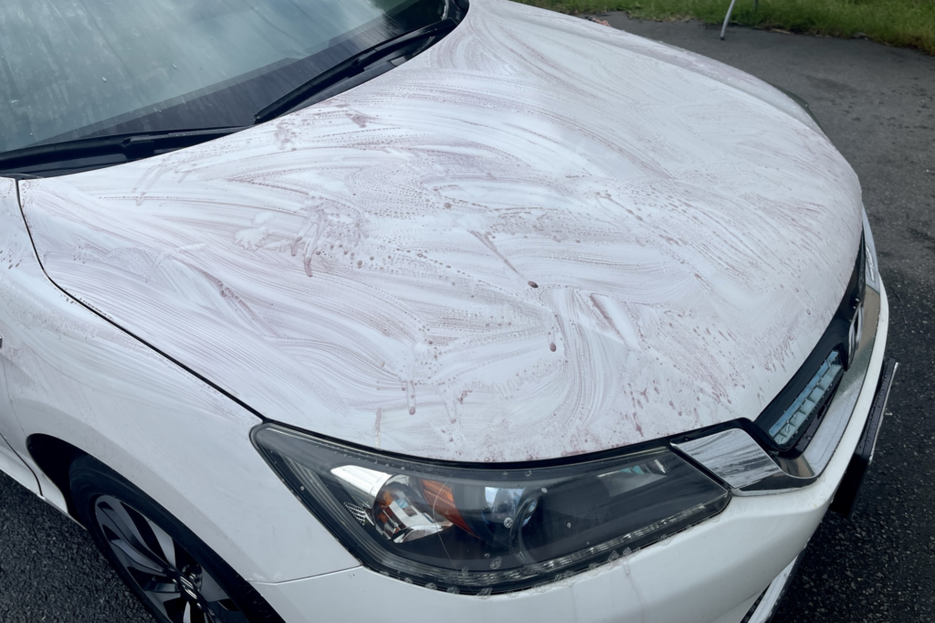 Overspray Removal