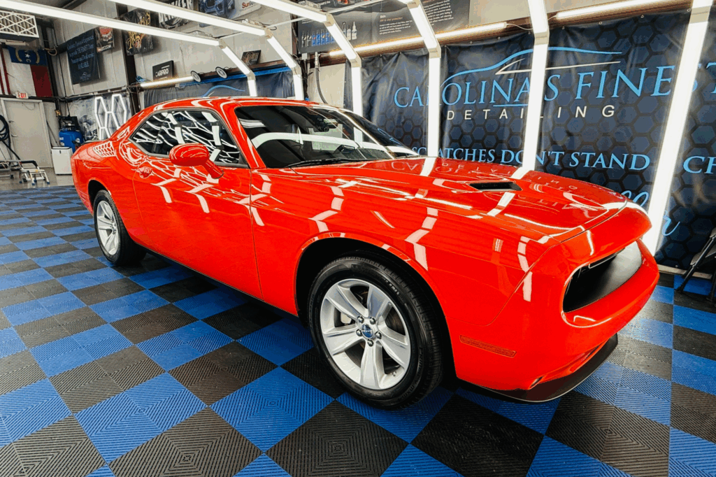 paint protection film